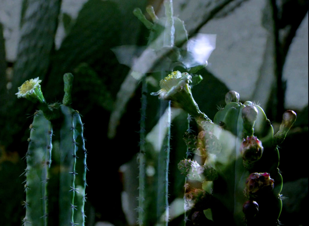 ValériePelet_BénisNoise_Still04_CourtesySixpackfilm